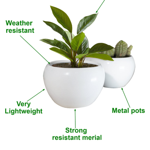 Enhance your indoor garden with our stylish 6' plants stand egg shape,-https://i-media.vyaparify.com/vcards/products/298305/product_1751460643_68652b236d103.png Image