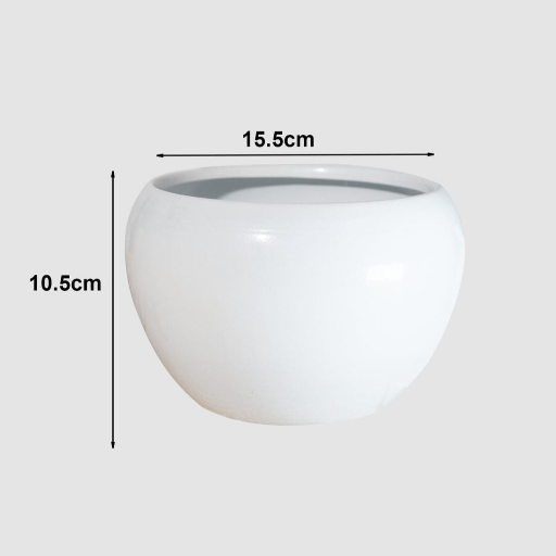 Enhance your indoor garden with our stylish 6' plants stand egg shape,-https://i-media.vyaparify.com/vcards/products/298307/product_1751460643_68652b23bf8cc.png Image