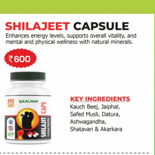  Shilajeet Capsule Raza Life Care Bahjoi Sambhal Uttar Pradesh India