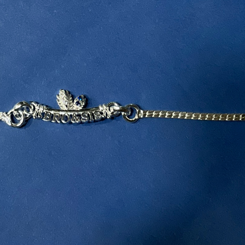 Bro sis rakhi-https://i-media.vyaparify.com/vcards/products/300333/product_1753459086_6883a98e24313.jpeg Image