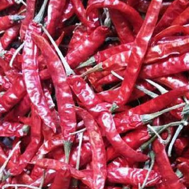 Whole Organic Sundried Sabut Red Chilli 1 KgPkt-https://i-media.vyaparify.com/vcards/products/300579/product_1753702694_68876126023c0.jpeg Image