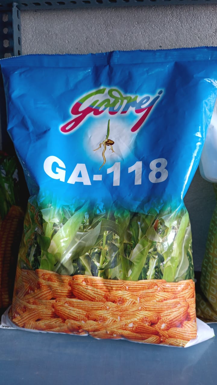 Godrej GA -118 Corn Seeds | Thakur Krishi Sewa Kendra | Sarkhari Main Road Near Government School Jaisinagar Road Sagar