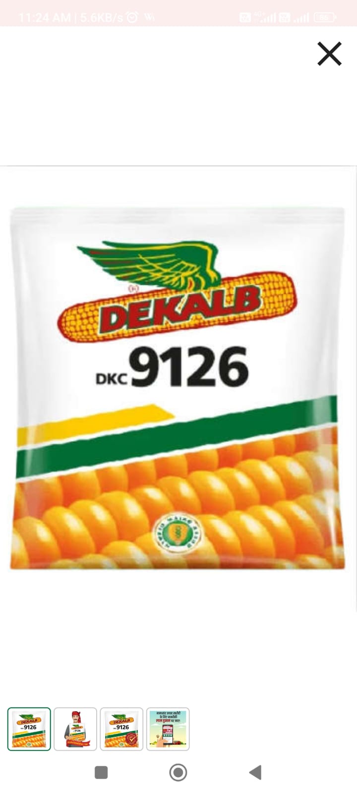 DeKalb DKC 9126 Corn Seeds-https://i-media.vyaparify.com/vcards/products/3017/Thakur-krishi-sewa-Kendra-seeds-9126.jpg Image