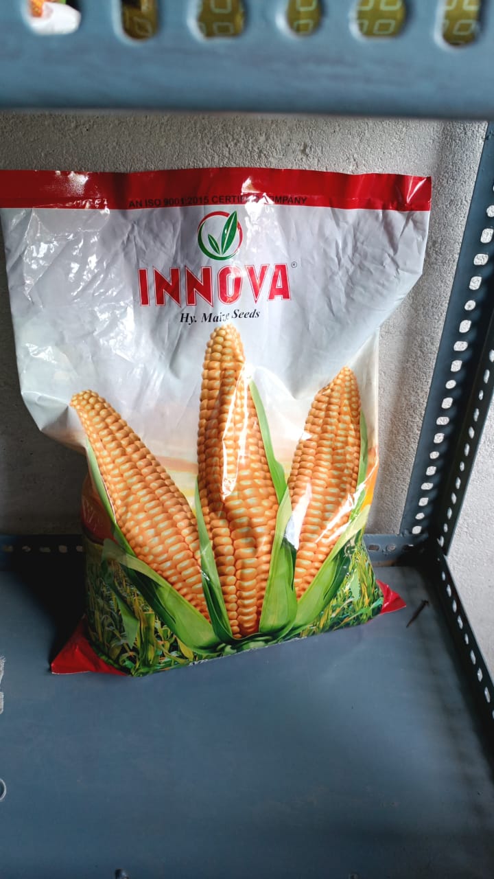 Innova Hybrid Maize Corn Seeds | Thakur Krishi Sewa Kendra | Sarkhari Main Road Near Government School Jaisinagar Road Sagar
