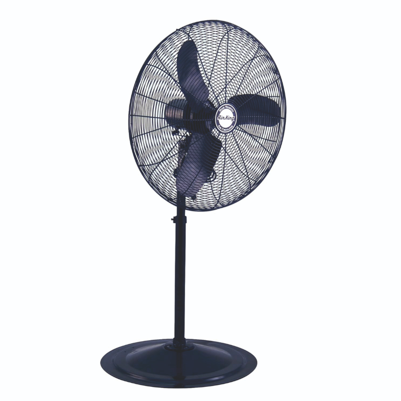 Beco Blackberry Farrata stand fan-https://i-media.vyaparify.com/vcards/products/302339/product_1756304866_68af15e2acd2e.png Image