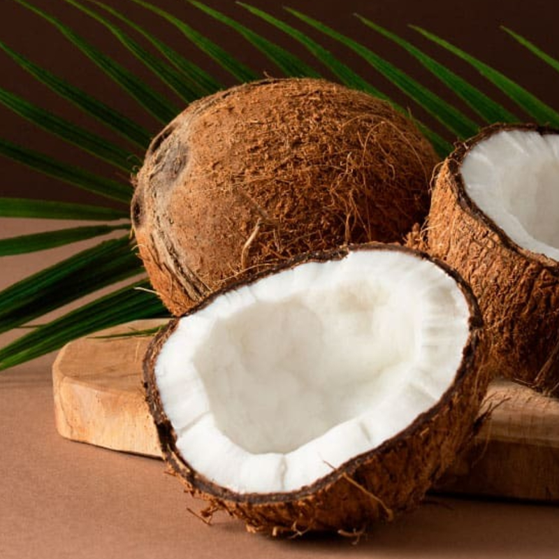  Coconut SAVI - By Moya Lake View Rd, West Mambalam, Chennai, Tamil Nadu 600033, India