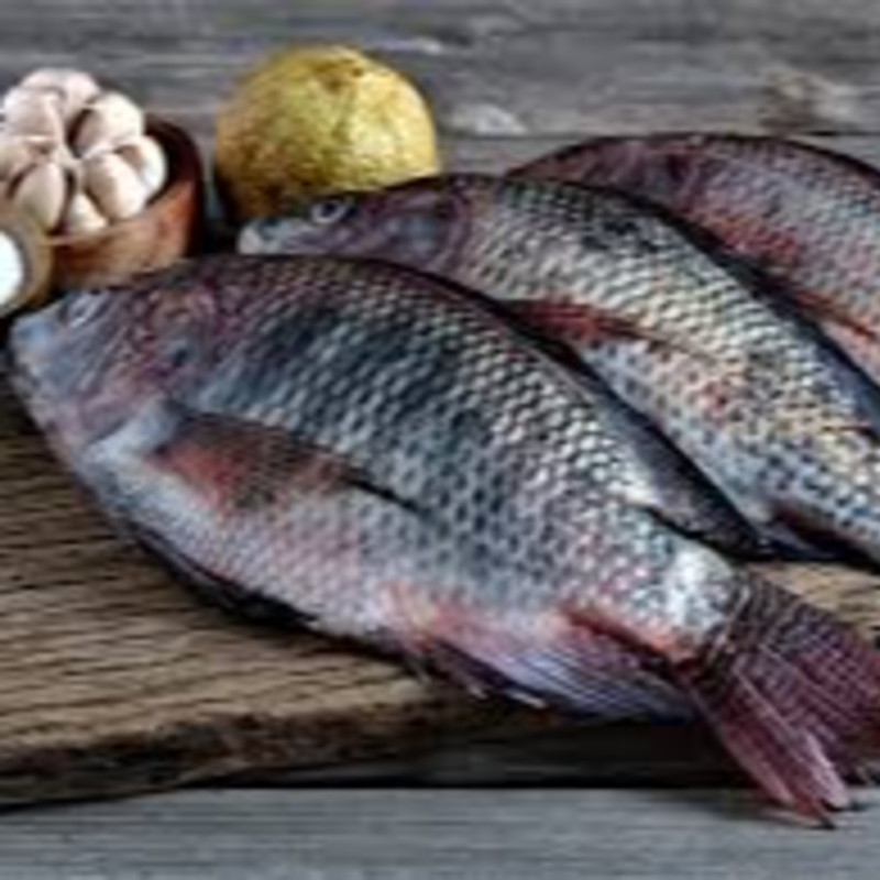 Tilapia – 100% Fresh & Hygienic-https://i-media.vyaparify.com/vcards/products/305943/product_1764318775_69295e371e58d.jpeg Image