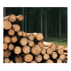 Wood | Sonu Yadav | Gandhi Nagar Near HP Fule  Station