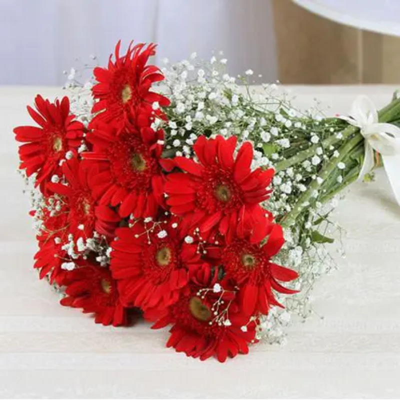 Bunch of 10 Red Gerberas GRT Flower And Decorator COLLEGE MAIN ROAD, Siddaveerappa Badavane, BIET, Davanagere, Karnataka 577004, India
