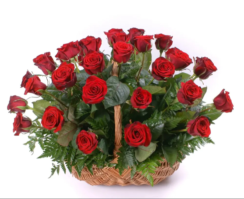 Handle Basket Arrangement of 30 Red Roses. GRT Flower And Decorator COLLEGE MAIN ROAD, Siddaveerappa Badavane, BIET, Davanagere, Karnataka 577004, India