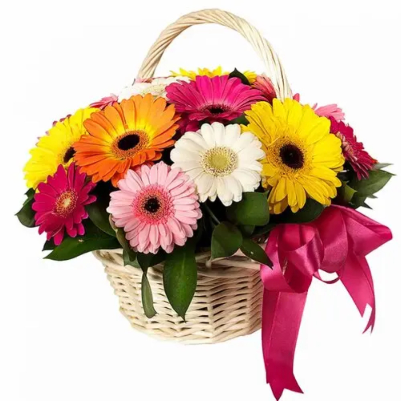 Basket arrangements of 5 Yellow, 5 Red and 2 White Gerberas with green leaves. GRT Flower And Decorator COLLEGE MAIN ROAD, Siddaveerappa Badavane, BIET, Davanagere, Karnataka 577004, India