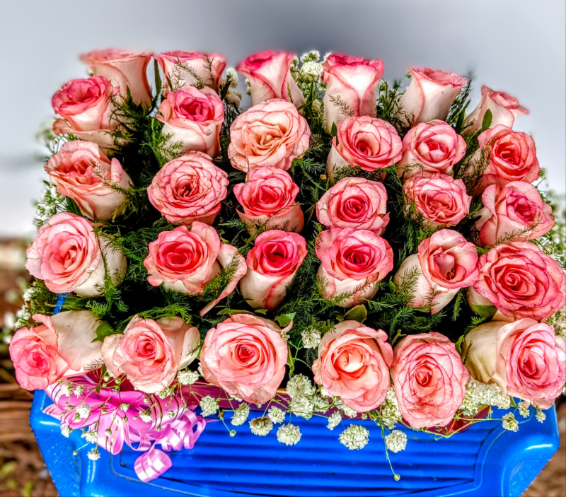  Pink roses Flori 7 Kanchan Pushpa Complex, Ghod Bunder Road, Kavesar, Thane West Mumbai, Maharashtra, India 400617