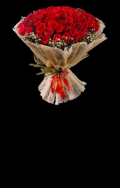  60 red roses Flori 7 Kanchan Pushpa Complex, Ghod Bunder Road, Kavesar, Thane West Mumbai, Maharashtra, India 400617