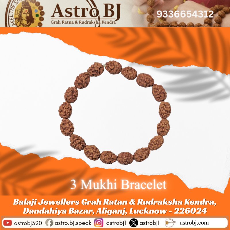  AstroBJ 3 Mukhi Rudraksha Bracelet "Siddh & Energised" A+++ Quality Astro BJ Lucknow, Uttar Pradesh 226024, India