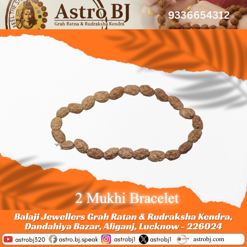  2 Mukhi Indonesian Rudraksha Bracelet Astro BJ Lucknow, Uttar Pradesh 226024, India