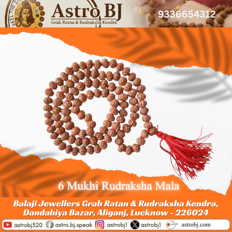  AstroBJ 6 Mukhi Rudraksha Mala "Siddh & Energised" A+++ Quality Astro BJ Lucknow, Uttar Pradesh 226024, India