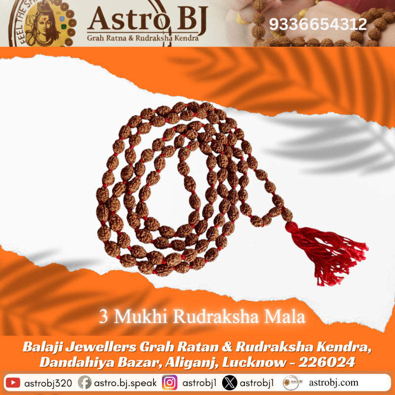  AstroBJ 3 Mukhi Rudraksha Mala "Siddh & Energised" A+++ Quality Astro BJ Lucknow, Uttar Pradesh 226024, India