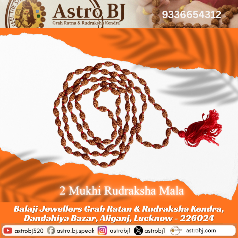  AstroBJ 2 Mukhi Rudraksha Mala "Siddh & Energised" A+++ Quality Astro BJ Lucknow, Uttar Pradesh 226024, India