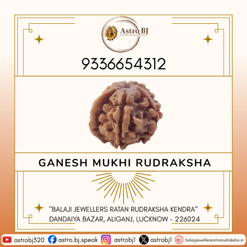  AstroBJ Ganesh Mukhi Rudraksha "Siddh & Energised" A+++ Quality Astro BJ Lucknow, Uttar Pradesh 226024, India