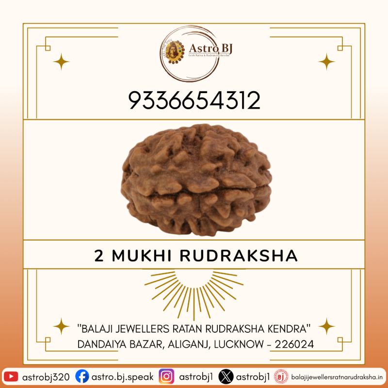  AstroBJ 2 Mukhi Rudraksha "Siddh & Energised" A+++ Quality Astro BJ Lucknow, Uttar Pradesh 226024, India