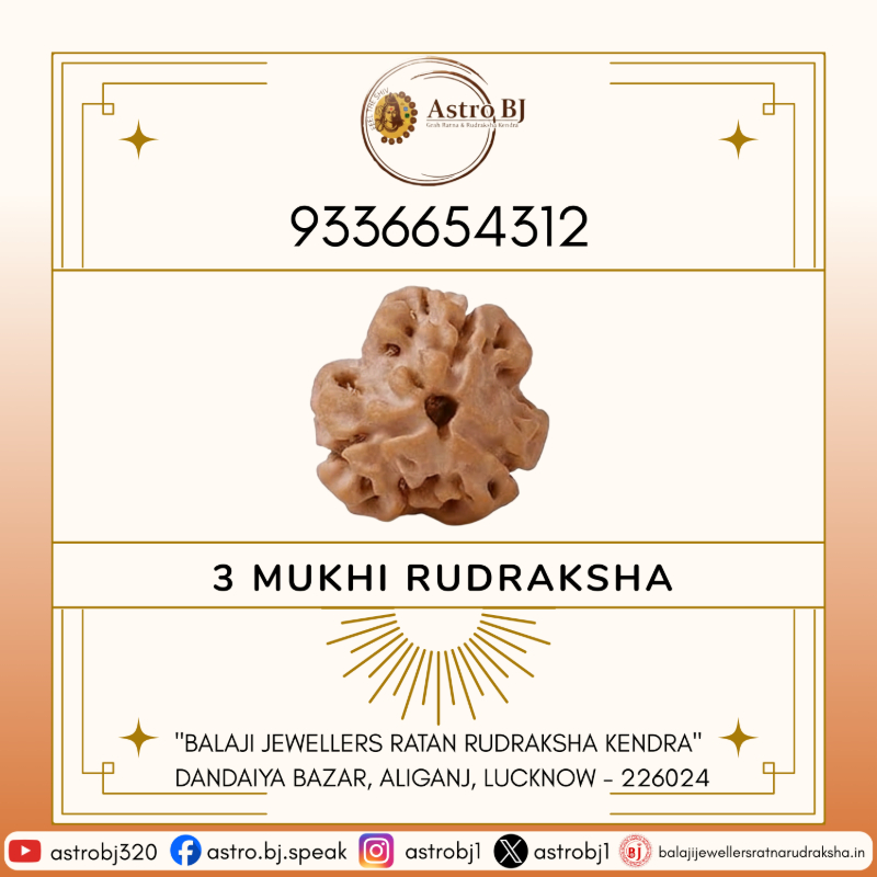  AstroBJ 3 Mukhi Rudraksha "Siddh & Energised" A+++ Quality Astro BJ Lucknow, Uttar Pradesh 226024, India
