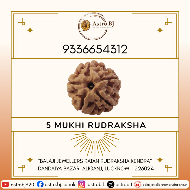  AstroBJ 5 Mukhi Rudraksha "Siddh & Energised" A+++ Quality Astro BJ Lucknow, Uttar Pradesh 226024, India