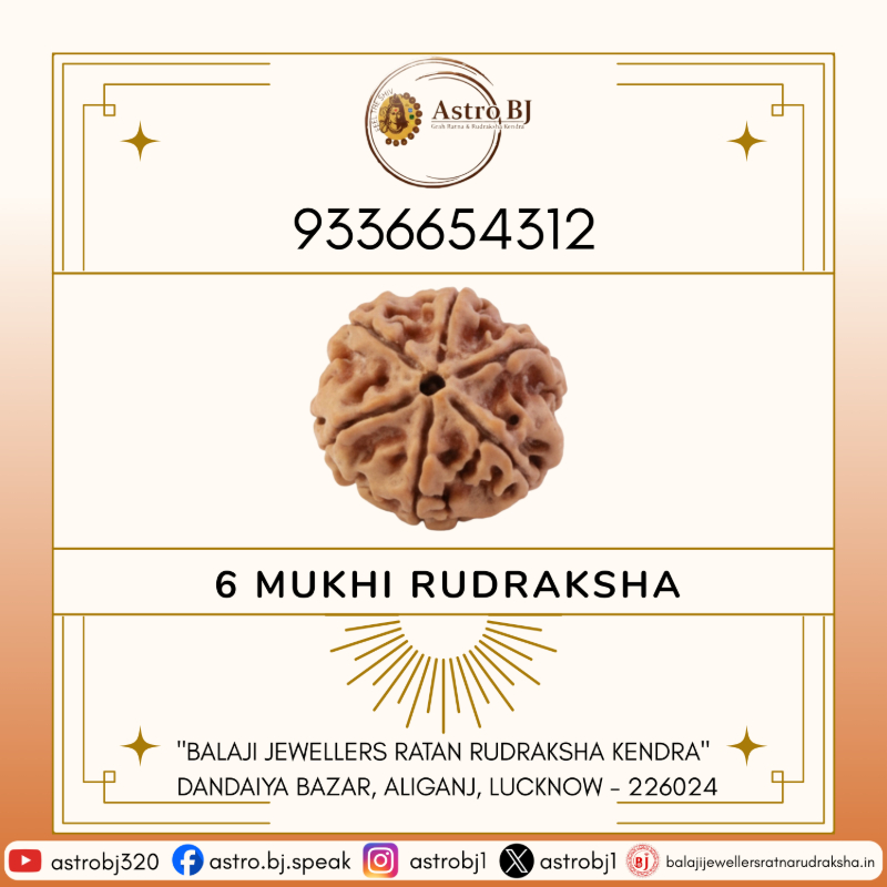  AstroBJ 6 Mukhi Rudraksha "Siddh & Energised" A+++ Quality Astro BJ Lucknow, Uttar Pradesh 226024, India