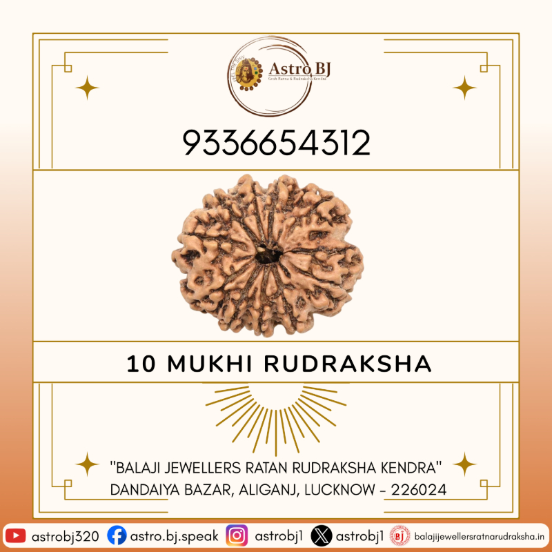  AstroBJ 10 Mukhi Rudraksha "Siddh & Energised" A+++ Quality Astro BJ Lucknow, Uttar Pradesh 226024, India