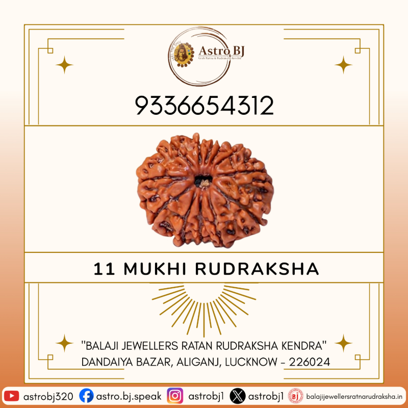 AstroBJ 11 Mukhi Rudraksha "Siddh & Energised" A+++ Quality Astro BJ Lucknow, Uttar Pradesh 226024, India