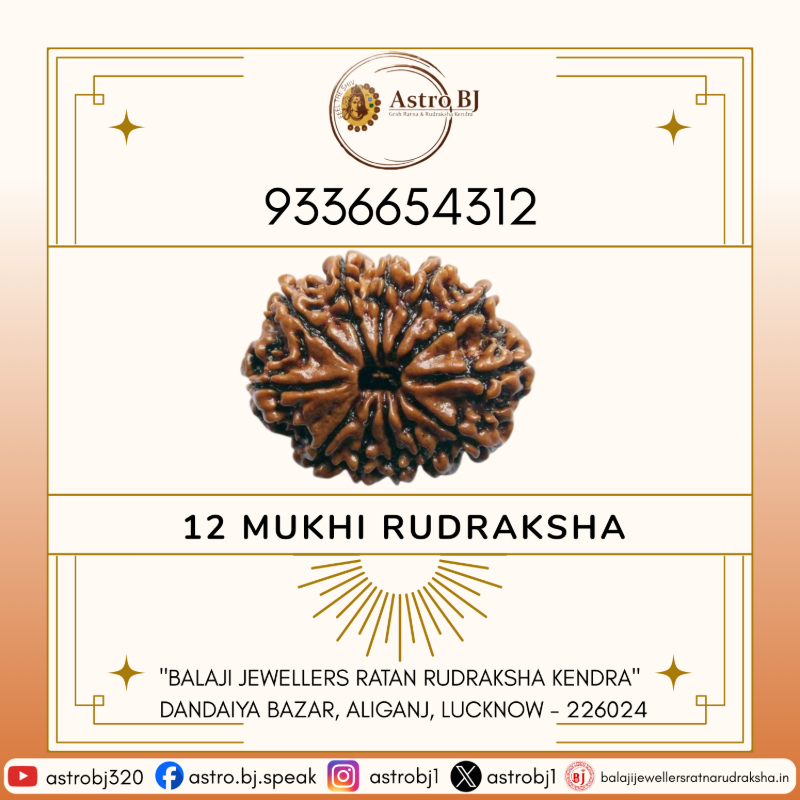  AstroBJ 12 Mukhi Rudraksha "Siddh & Energised" A+++ Quality Astro BJ Lucknow, Uttar Pradesh 226024, India