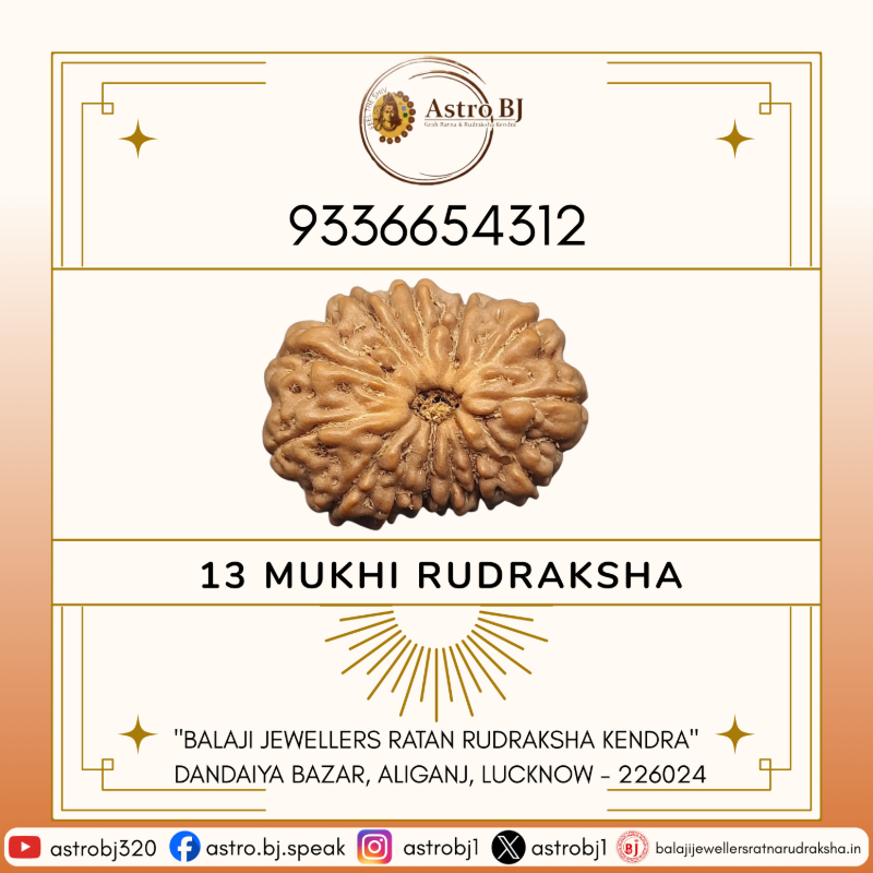  AstroBJ 13 Mukhi Rudraksha "Siddh & Energised" A+++ Quality Astro BJ Lucknow, Uttar Pradesh 226024, India