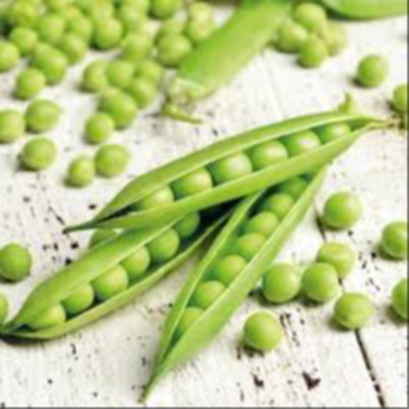 Mutter wholesaler-https://i-media.vyaparify.com/vcards/products/309319/product_1771507611_69970f9b3bd92.jpeg Image