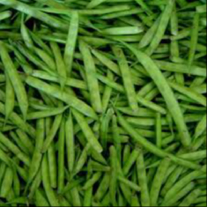 Gawar Phali Wholsaler-https://i-media.vyaparify.com/vcards/products/309320/product_1771507688_69970fe8312d3.jpeg Image