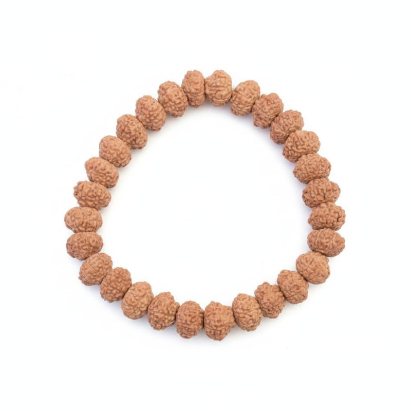  AstroBJ 10 Mukhi Rudraksha Bracelet "Siddh & Energised" A+++ Quality Astro BJ Lucknow, Uttar Pradesh 226024, India