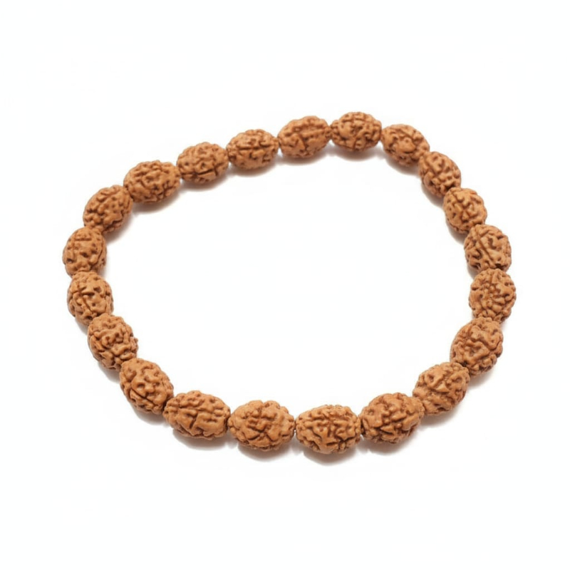  AstroBJ 2 Mukhi Rudraksha Bracelet "Siddh & Energised" A+++ Quality Astro BJ Lucknow, Uttar Pradesh 226024, India