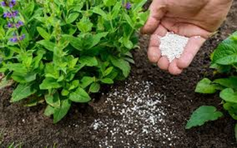 Fertilizer and nutrients Urban Gardener Vapi Urban Gardener Shraddha Residency, Plot No 24, Salvav Road, Rata, Vapi, Gujarat 396191, India