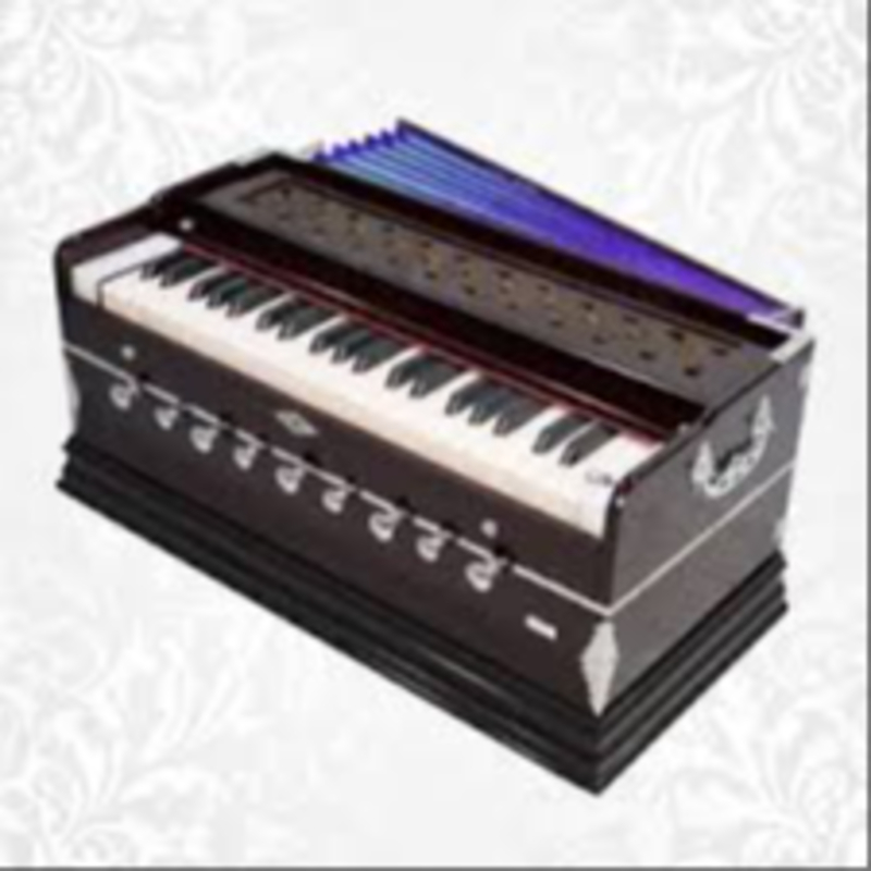Harmonium Shree Satguru Musical Store 