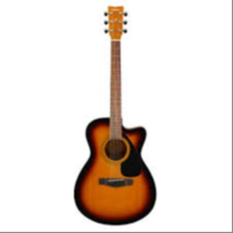 Guitar Shree Satguru Musical Store 