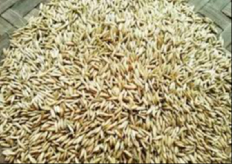 Natural paddy seeds-https://i-media.vyaparify.com/vcards/products/310266/product_1772283139_69a2e5032b45e.jpeg Image