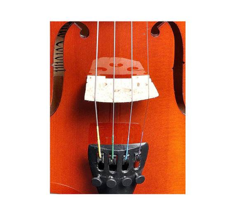 Sergio Tordini STC441G Acoustic Violin-https://i-media.vyaparify.com/vcards/products/310658/product_1772532065_69a6b161a2f00.jpeg Image