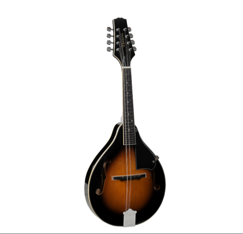 Havana MDE250 Mandolin - Precision Sound-https://i-media.vyaparify.com/vcards/products/310714/product_1772615592_69a7f7a8cf60a.jpeg Image