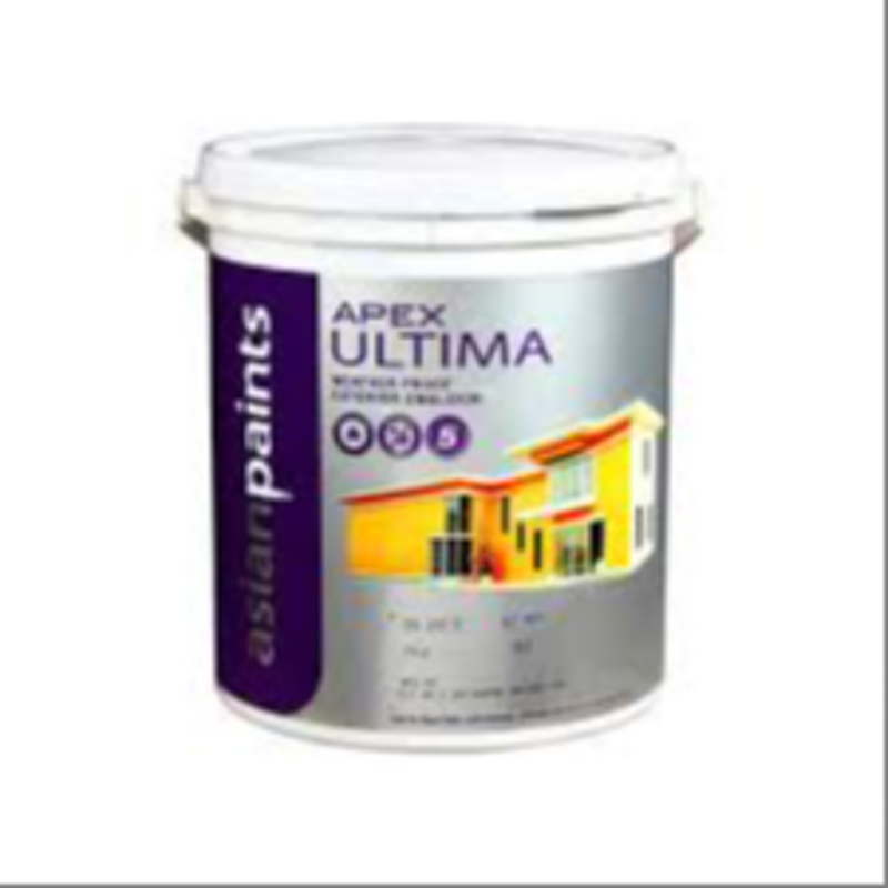 Asian apex ultima Bidari Paints And Painters 