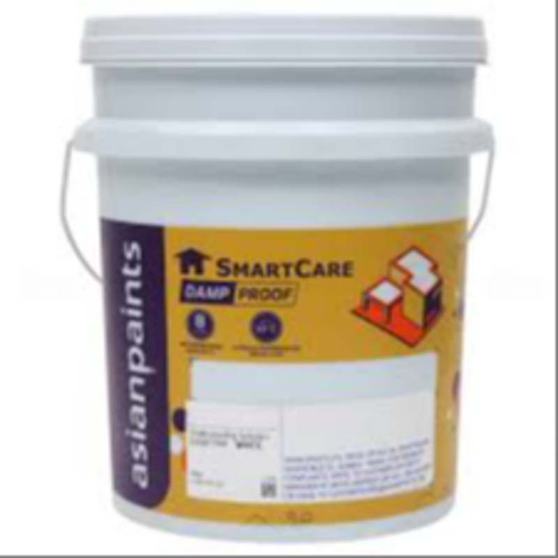 asian smart care Bidari Paints And Painters 