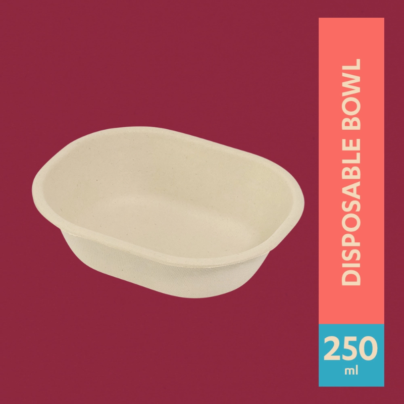250 ml disposable bowl RAGHAV TRADING COMPANY Ward No. 3 Lohiyanagar, Railway Station Road