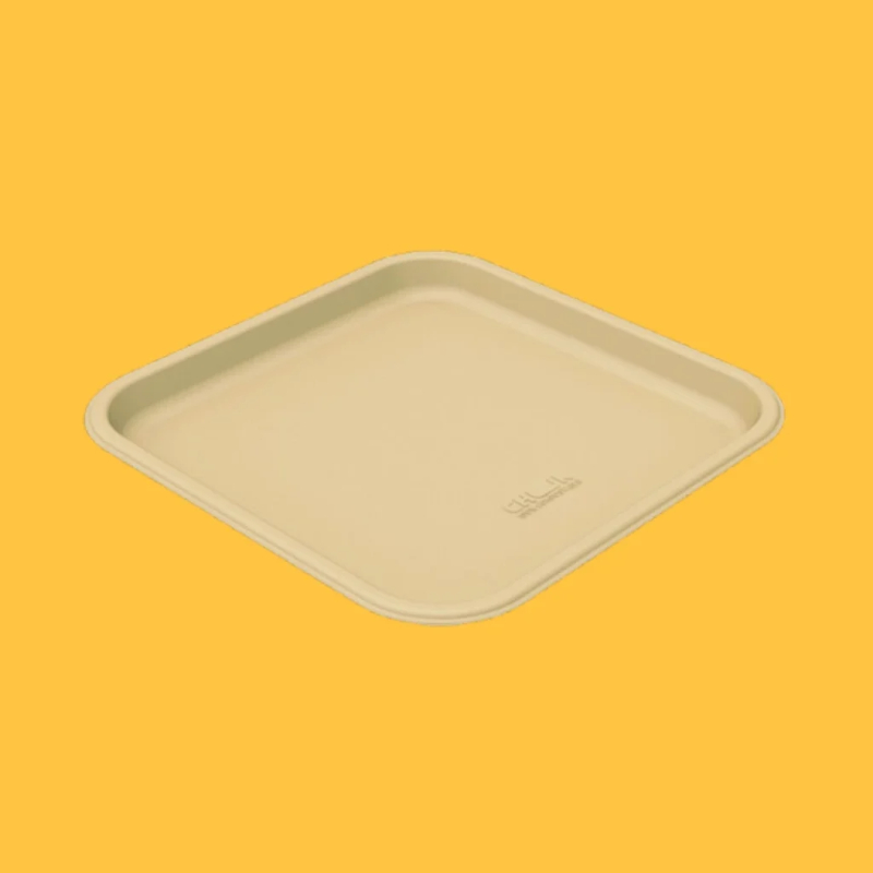 11" Disposable Plate RAGHAV TRADING COMPANY Ward No. 3 Lohiyanagar, Railway Station Road