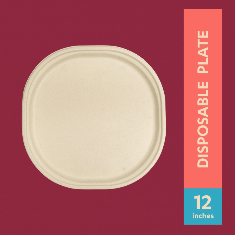 12" Disposable plate RAGHAV TRADING COMPANY Ward No. 3 Lohiyanagar, Railway Station Road