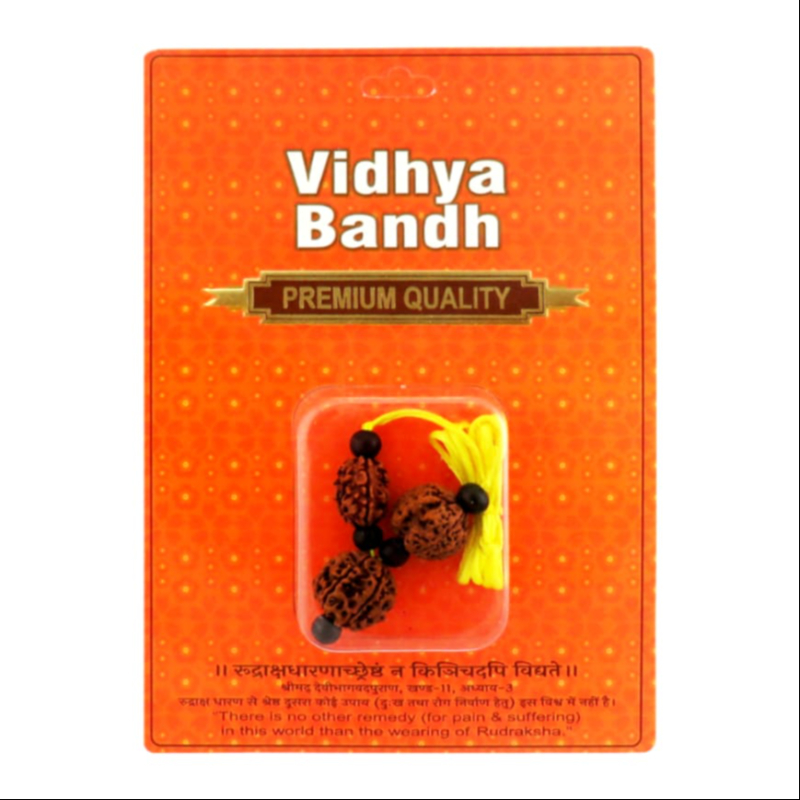 Box2Joy Vidhya Bandh | 3 Mukhi, 4 Mukhi & 6 Mukhi Rudraksha for Students, Focus, Memory & Learning BOX2JOY PRIVATE LIMITED No. 2, Ground Floor, 1st Main, 1st Cross, Arekere MICO Layout, Off Bannerghatta Road,  Bengaluru,