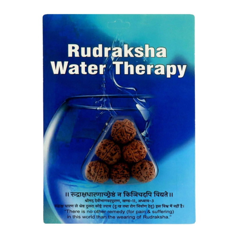 Box2Joy Rudraksha Water Therapy | Natural Rudraksha Beads for Water Charging & Wellness Practise BOX2JOY PRIVATE LIMITED No. 2, Ground Floor, 1st Main, 1st Cross, Arekere MICO Layout, Off Bannerghatta Road,  Bengaluru,