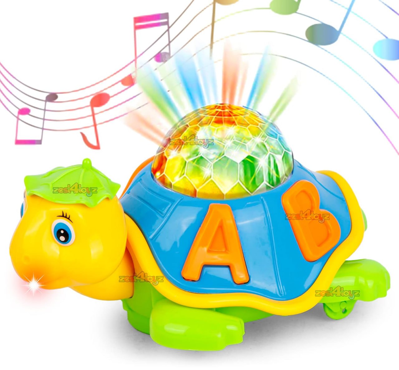 TORTOISE WITH LIGHT AND MUSIC-https://i-media.vyaparify.com/vcards/products/312674/product_1775826654_69d8f6dea2f1c.jpg Image