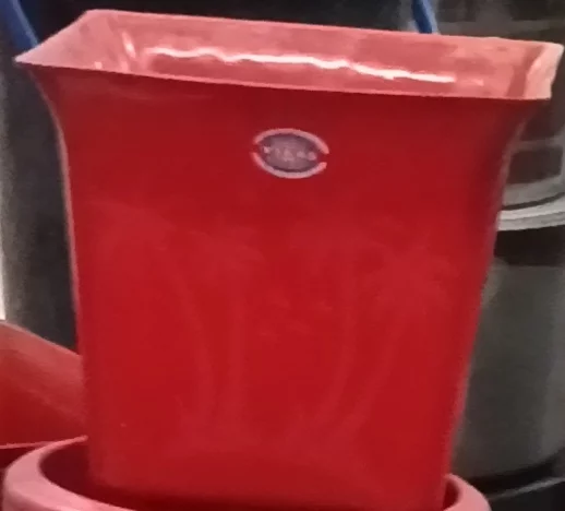 Gamla 12" in Laksar - Ideal for Planting-https://i-media.vyaparify.com/vcards/products/314459/product_1779978843_6a18525be614c.webp Image